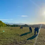 Parque de Campismo Cosy Avec Terrasse Pour 4 Personnes - Api-1-52-919 Camon (Languedoc-Roussillon)
