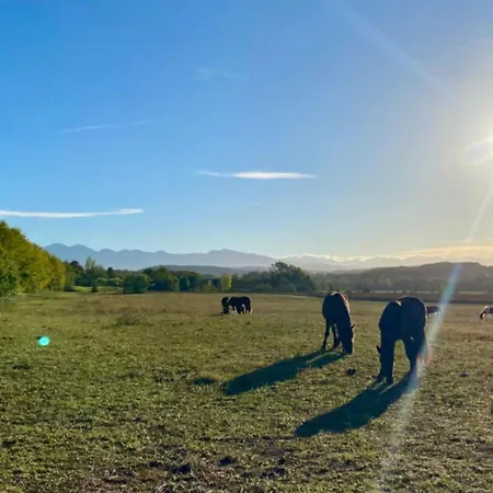 אתר קמפינג Cosy Avec Terrasse Pour 4 Personnes - Api-1-52-919 Camon (Languedoc-Roussillon)